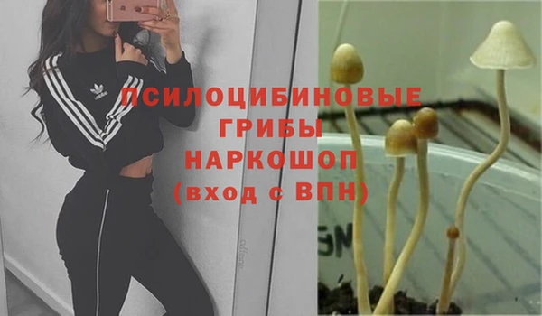 кокс Абинск