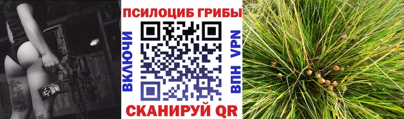 закладки  Юрюзань  Галлюциногенные грибы GOLDEN TEACHER 